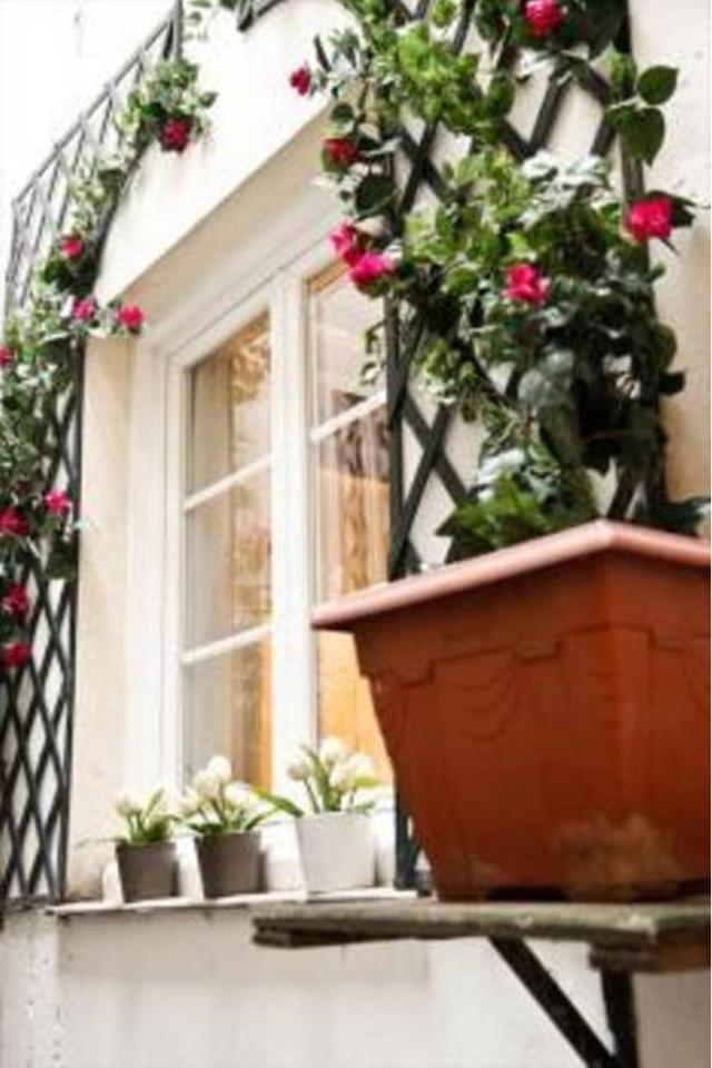 Le Jardin Du Marais Apartamento